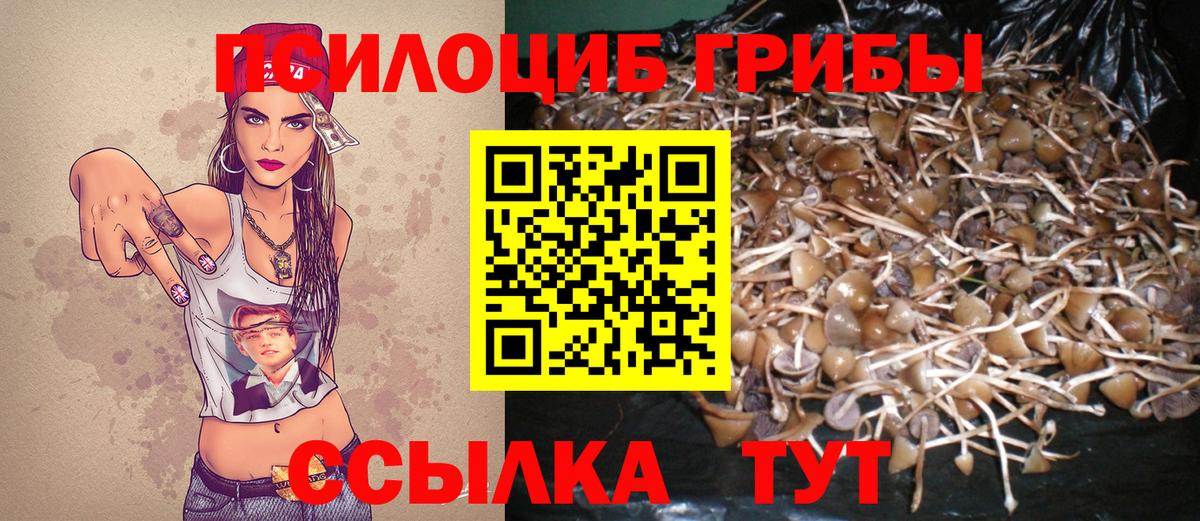 Галлюциногенные грибы ЛСД  Псилоцибиновые грибы Psilocybe  Мурманск  Вход с VPN 