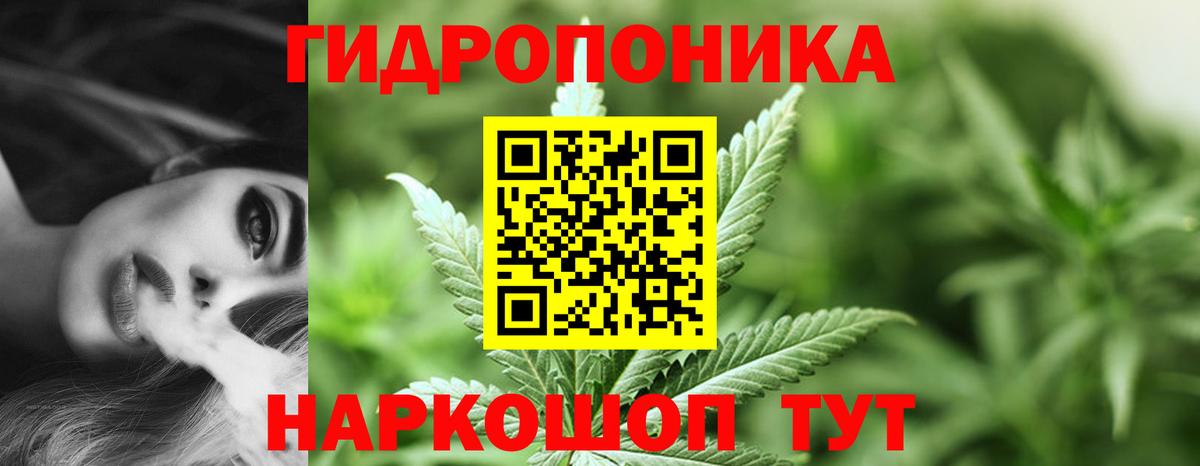 Каннабис семена Мурманск